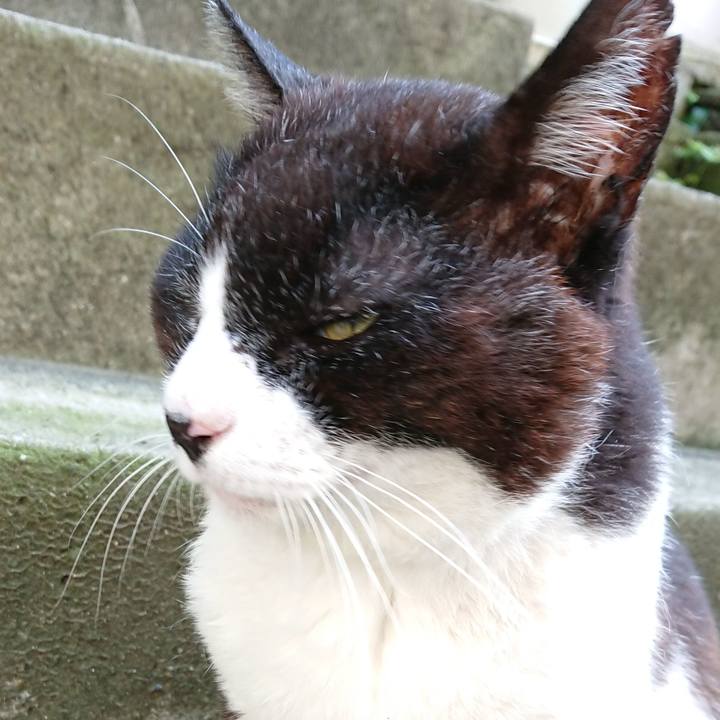 8aadbef6 bf29 4d6b 93ea 5c6b6999fe72 1697937327185