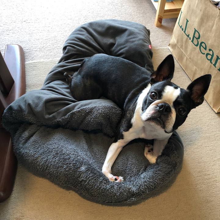 8aadc308 a4a3 48ca b103 3083bd71fc80 1660574161328