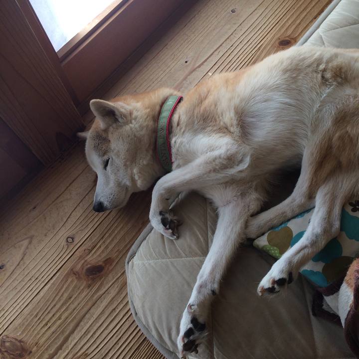 8aadf917 cf07 42c9 97c4 5dfb16c2e279 1576381729129