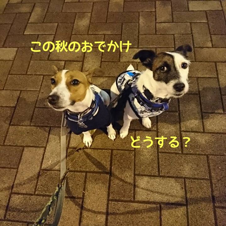 8aae04fc 14e7 4adb 8712 08f34d28c888 1537192496969