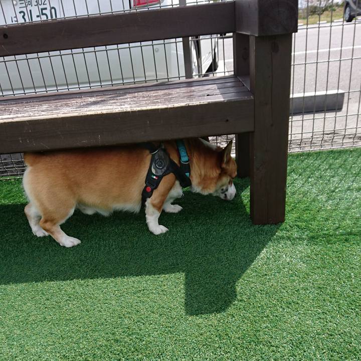 8aae4079 e3fd 4ca4 8fa2 37eaf5b74d4f 1648782906933