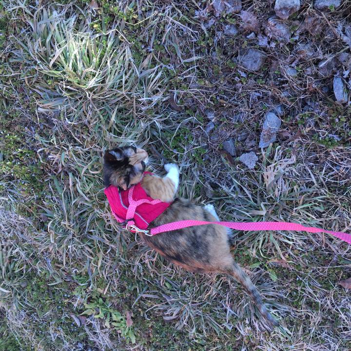 8aae5325 30b4 4f4a b692 d2761cd0f3d4 1519981899558