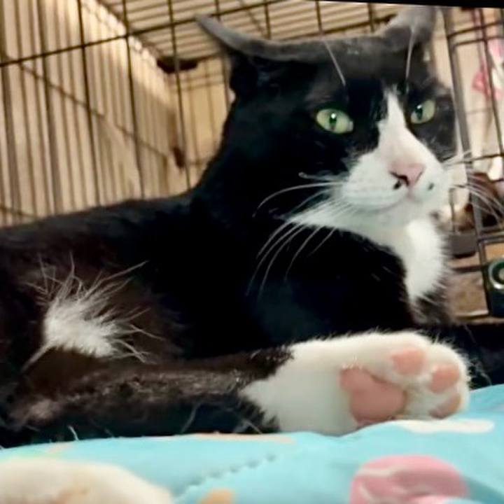 8aaf0b9c 985f 4a29 b13a 4ce19f845845 1754649036977