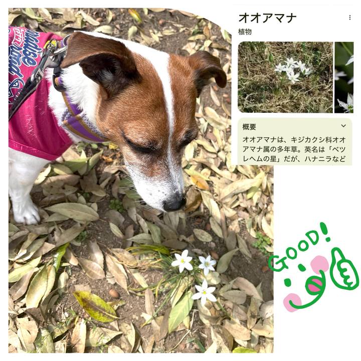 8aaf13c7 1858 42b6 9df1 05cb1ec7fc1c 1745573752442