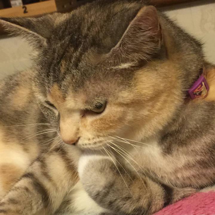 8aaf2d3a bbe4 46b2 ab6d b133d41062c4 1561802954983