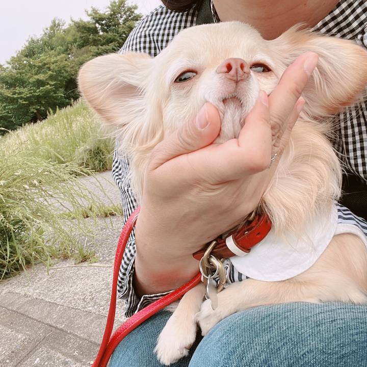 8aaf32d8 db05 4ebf b487 2230d393cc5f 1653037027189