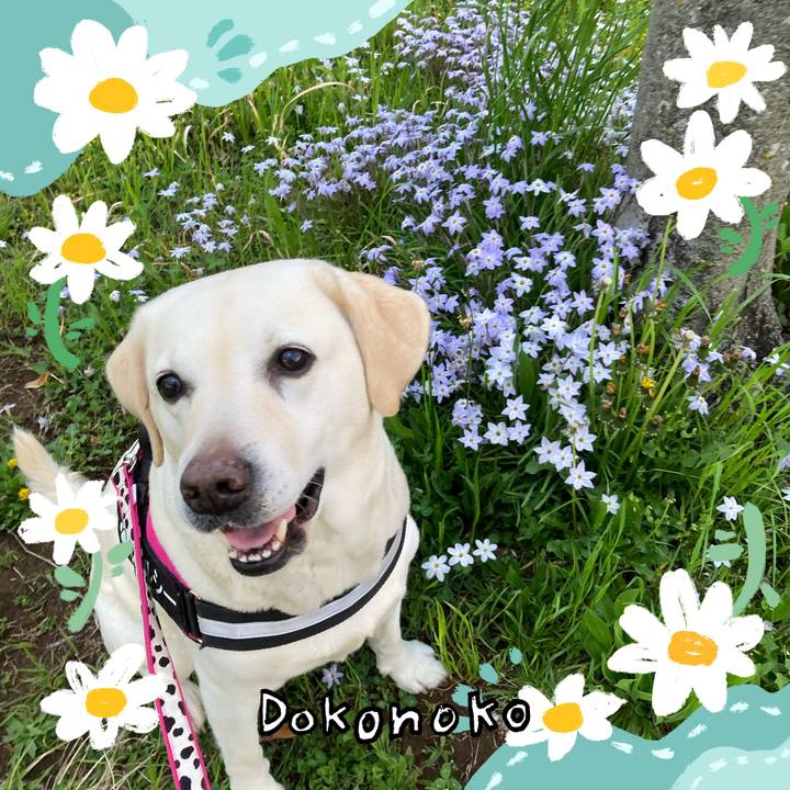 8aaf6cdc 41b2 455e bca6 aae4cd62c4a4 1712799058388