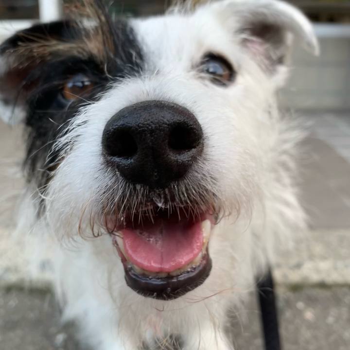 8aafa2da 7336 4d41 80e5 b7d61bc3f6c6 1657185135795