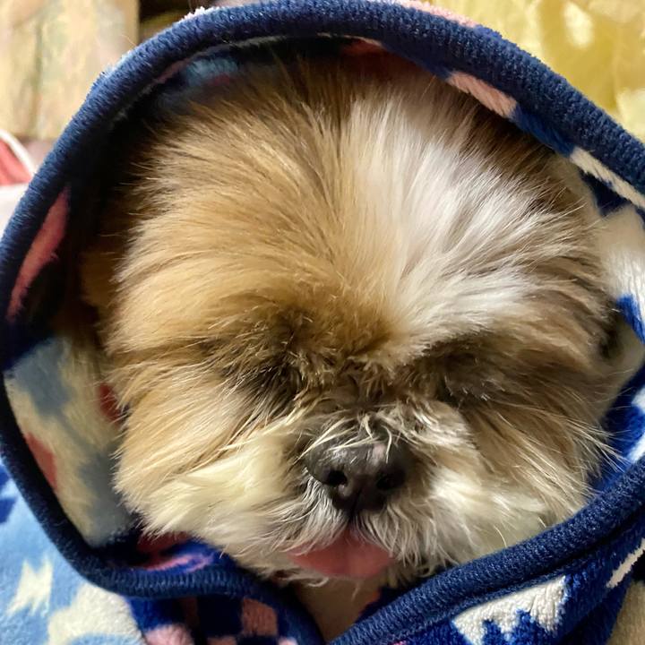 8aafbef3 ef57 4e4e a158 9ba774e94f86 1612675356547