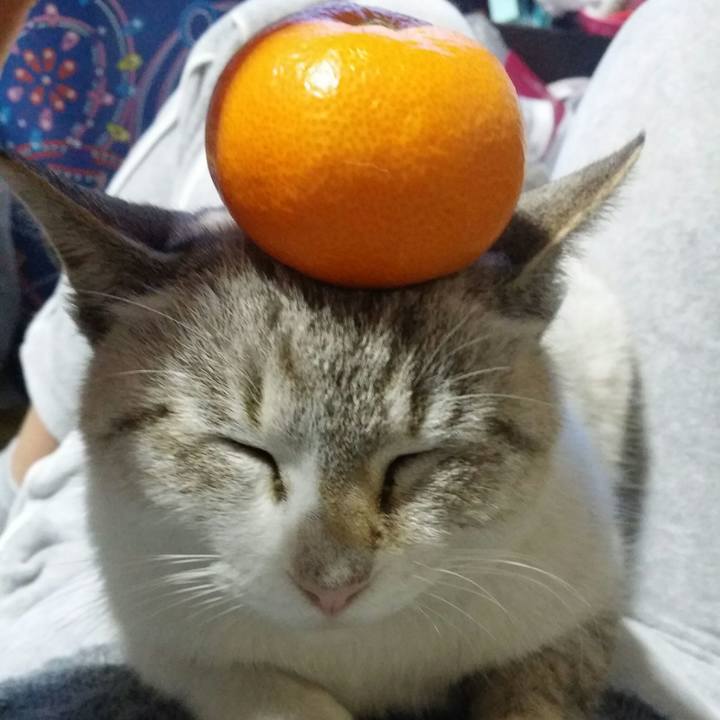 8aafcbb3 0dcc 4355 bfce 2977774bce6a 1515066533239