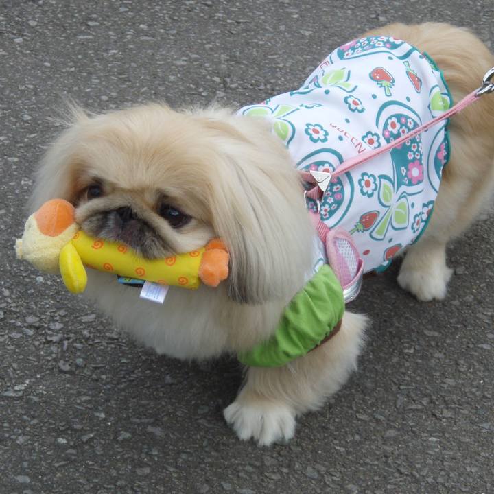 8aafebf3 46bc 47a4 a98f c8559f29c134 1622960417779