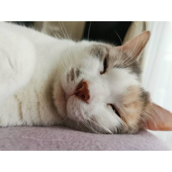 8ab02faf 9903 473d 9c76 633683955161 1679285994357