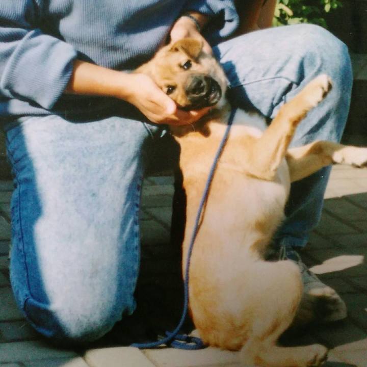 8ab03acf 208a 4aac ba73 dc2145f1f969 1534404610841