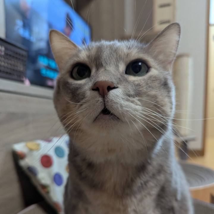 8ab04fcc ee73 458e 9c86 36873a220015 1766994331271