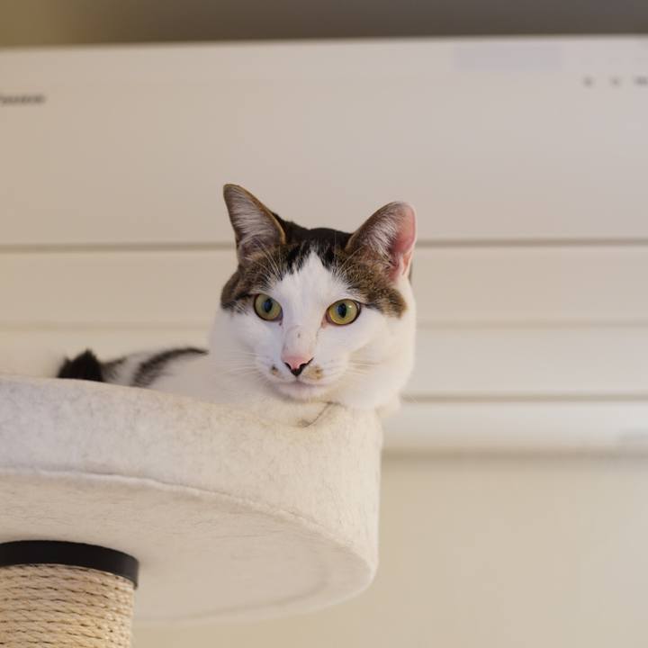 8ab05751 0fce 4a5a ad16 5b842fa96638 1516924307724