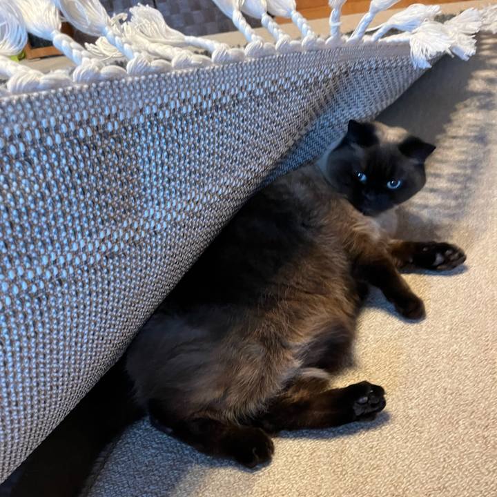 8ab07173 be7f 43e6 9420 cbb15f20fa22 1680517454109