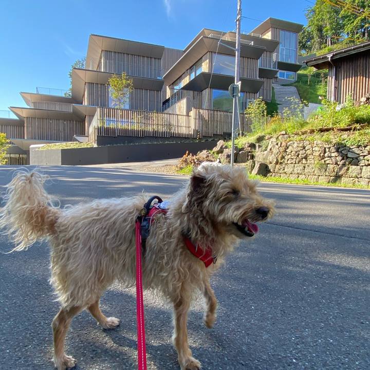 8ab0947b 009f 4690 9f6e 23ab1825ee80 1662257105111