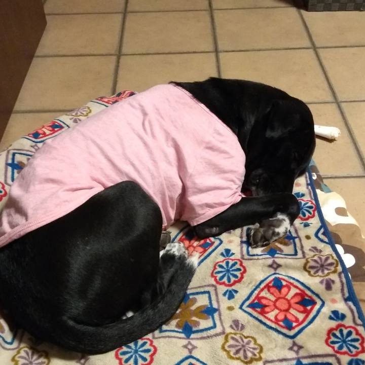 8ab09e84 9a9e 453c b8bd 579daa9255c7 1613692140211