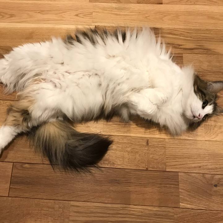 8ab0c251 c0b5 4266 9e14 62080cfca009 1527512501837