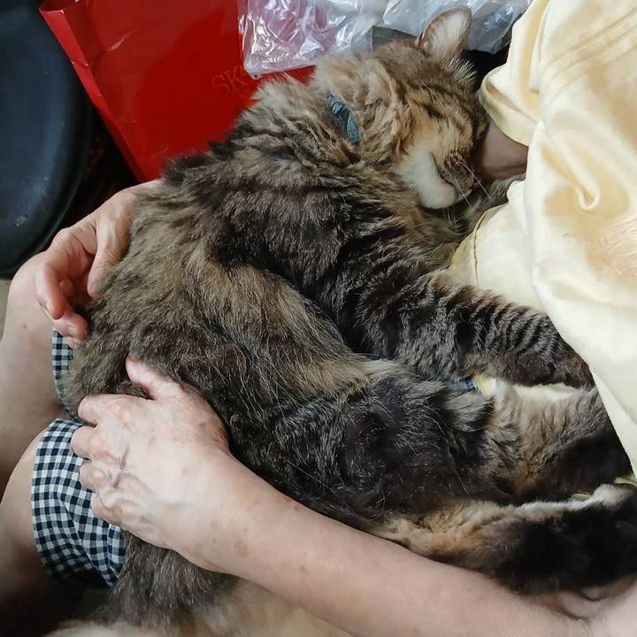 8ab0dac8 2d49 4e87 984a 5a0f30f7ae35 1750432183753