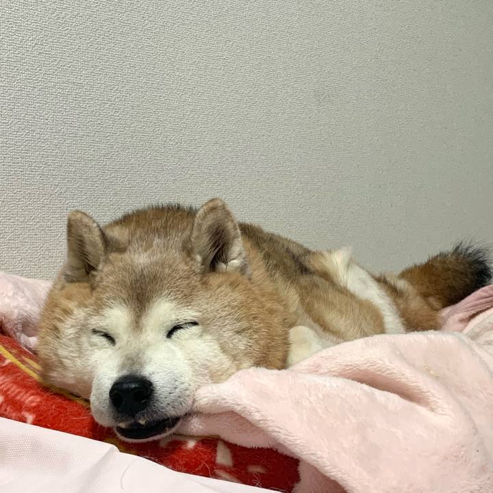 8ab104f2 44ad 43c4 ae6d 3eb84e497073 1673099904047