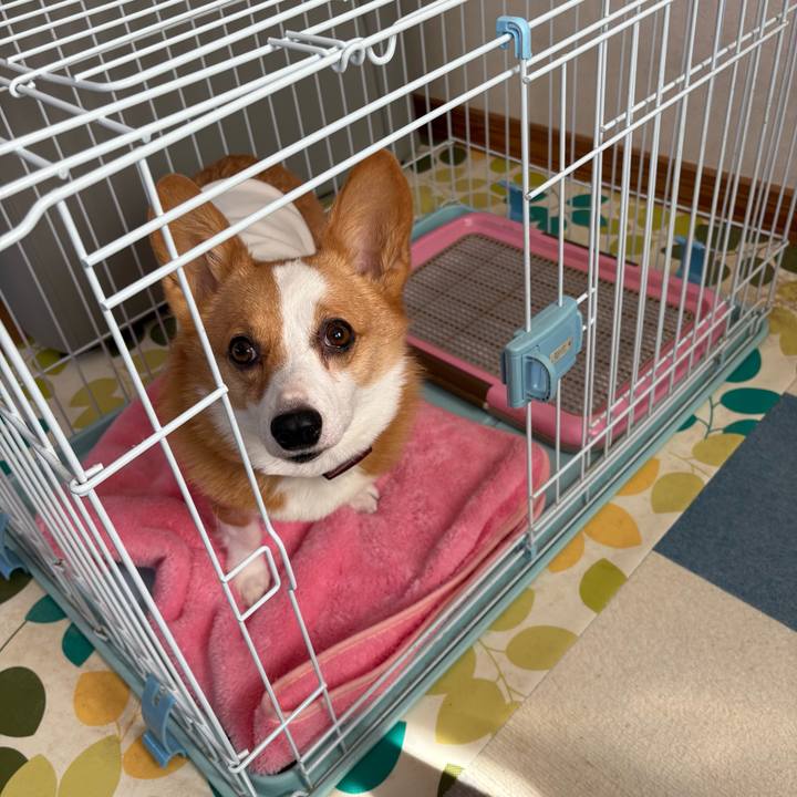 8ab114ee 452b 4ef1 9c11 b7b5bbc648d0 1772935918314