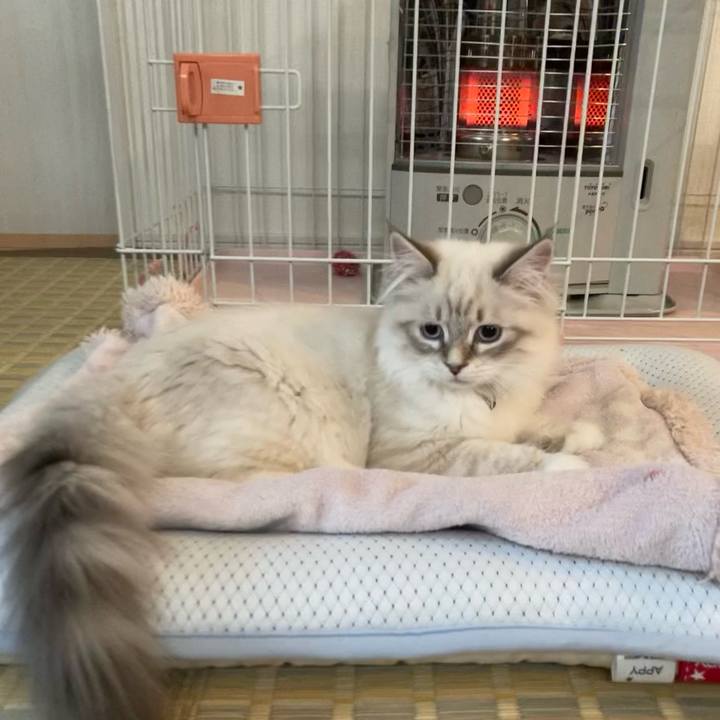 8ab13a7a 8503 46ac 8602 0f99c3bfea56 1670682088950