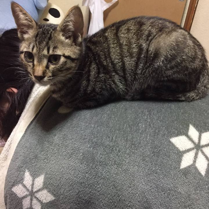 8ab15246 7fe5 41fd ad12 07a459640b5a 1537882412708