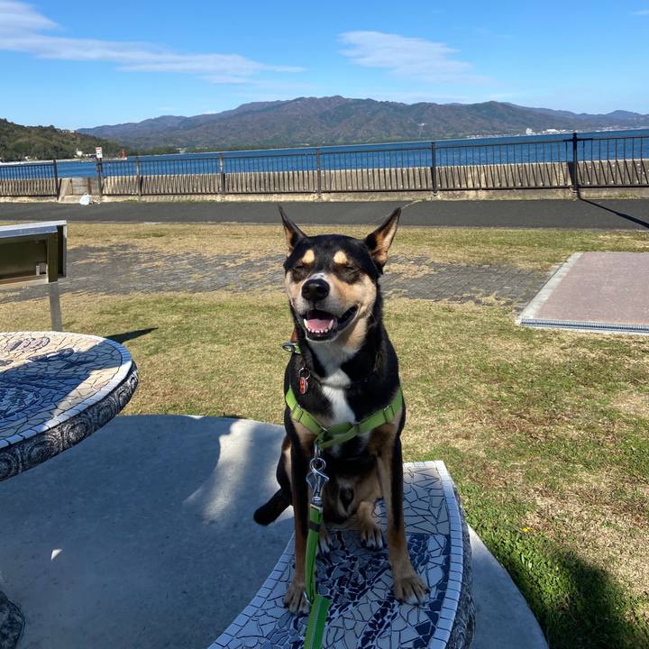 8ab17b8a c7f7 4426 a1d8 7751977b7052 1606052169359