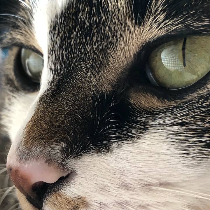 8ab1ccc8 181e 405e b23b 56bda298b385 1519464933227