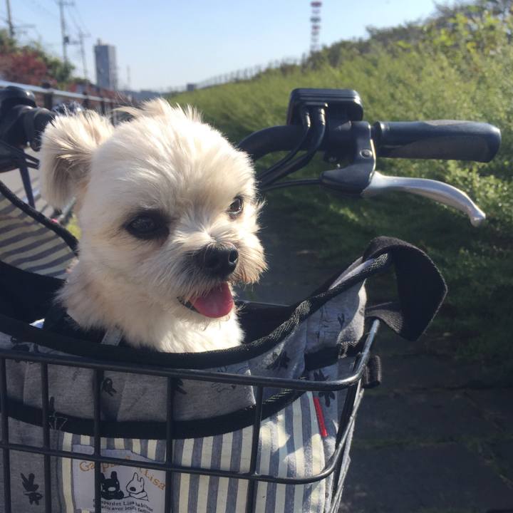 8ab1cda1 a7c6 4b03 aa61 2b7403413801 1540205901824