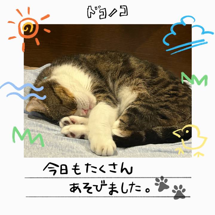 8ab1ea5a 1737 4231 91f7 63d7aab31054 1755120355853