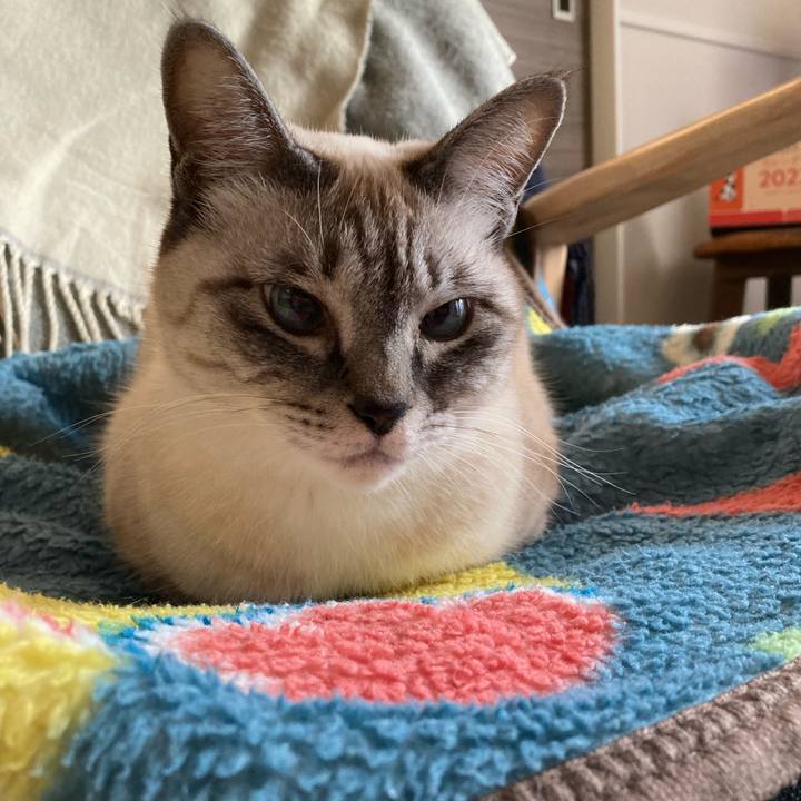 8ab23066 5ecb 460e 9ada 6b13b6932671 1639089210367