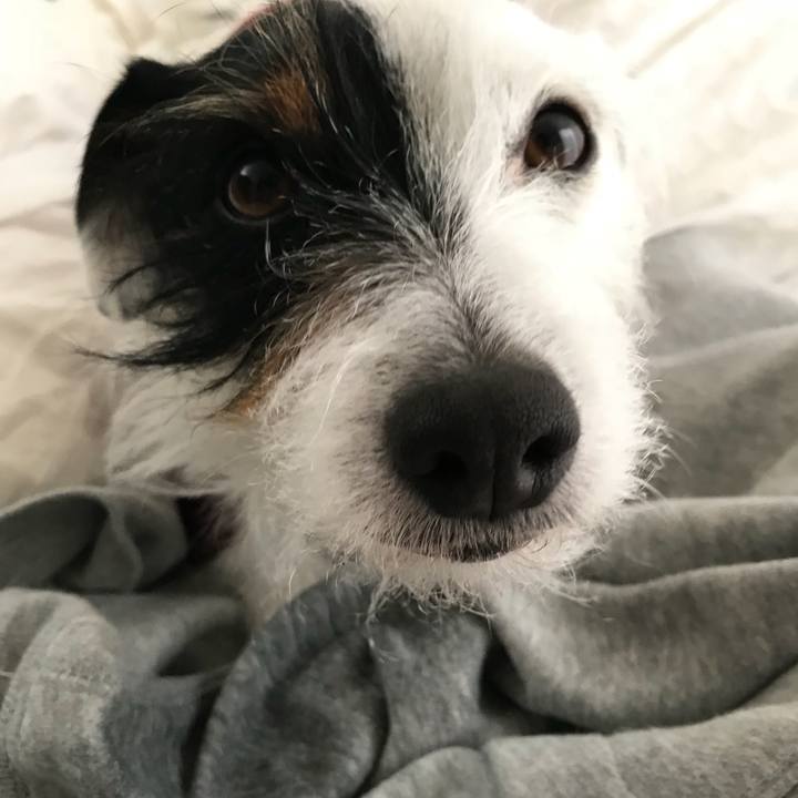 8ab24b01 7aa3 41e0 a68d 449571d9bda3 1519600519966