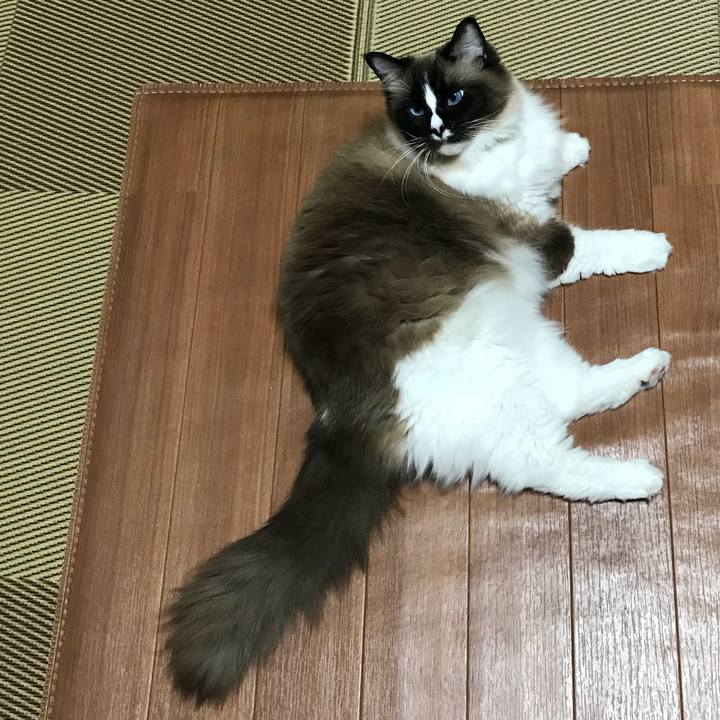 8ab24f0d 6227 47b9 bcd9 4a4c50d14429 1522592836104