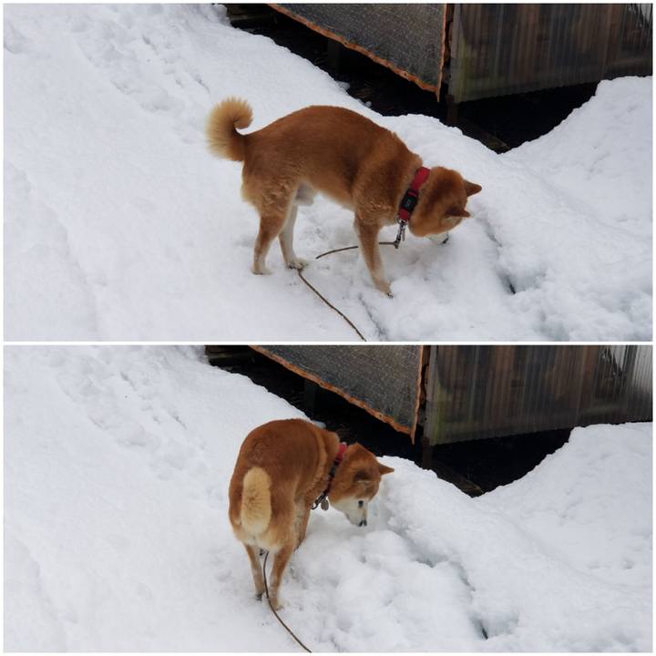 8ab27945 b0fb 4708 92b8 62a21d66cc83 1736380222558