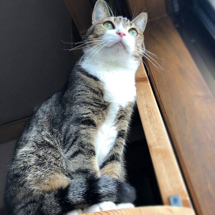 8ab28fc6 12a3 49a5 8b97 b3fc3282d245 1583537794366