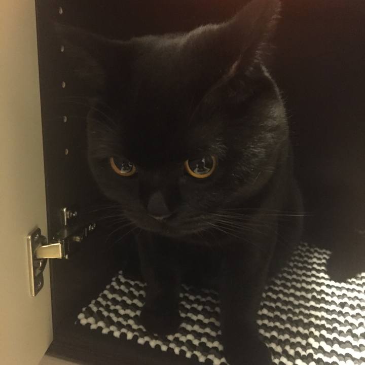 8ab2aab8 fadb 4b68 9d8e 650fd3ee36dc 1510742723544