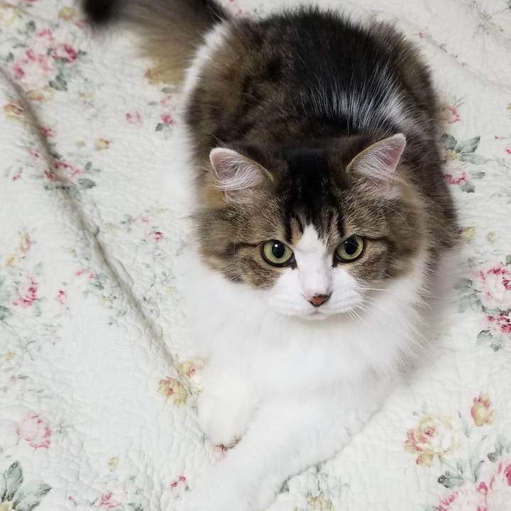 8ab2da7b 3e9a 4d02 b523 37d5899127e9 1568076208460