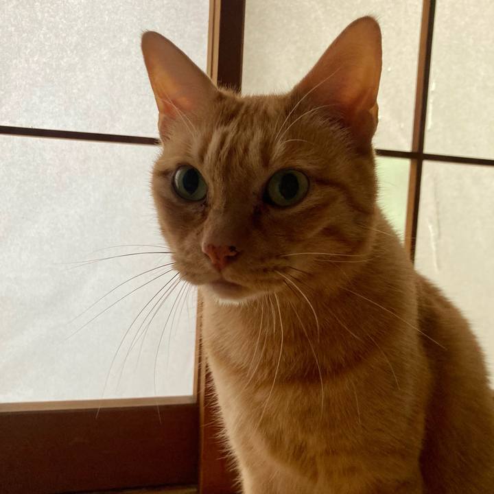 8ab30c69 34a2 4711 abe4 0d2828829e68 1754179786888