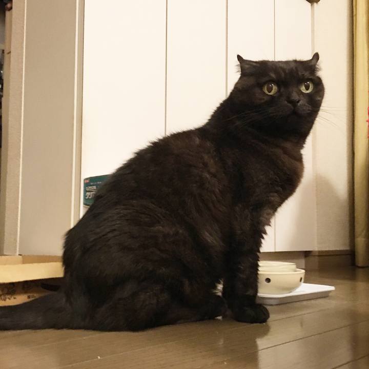 8ab31cfc 2924 4930 a49a 1ac7ac2135d9 1556495660828