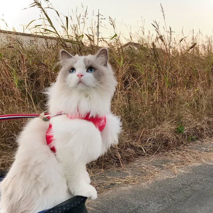 8ab34aba 08ef 4708 8443 334b8bd6454e 1613910119714