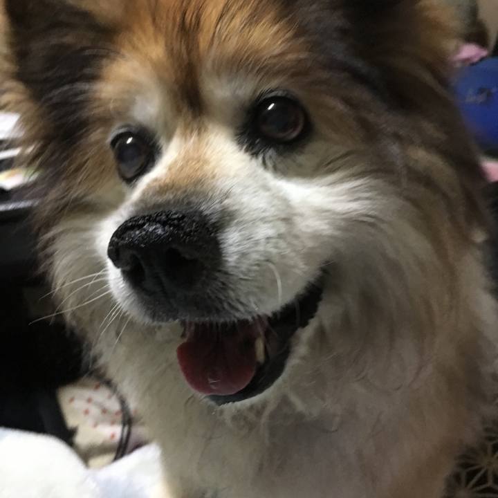 8ab35d7d b43f 46b4 b63a 492e43a05f2b 1599535296167