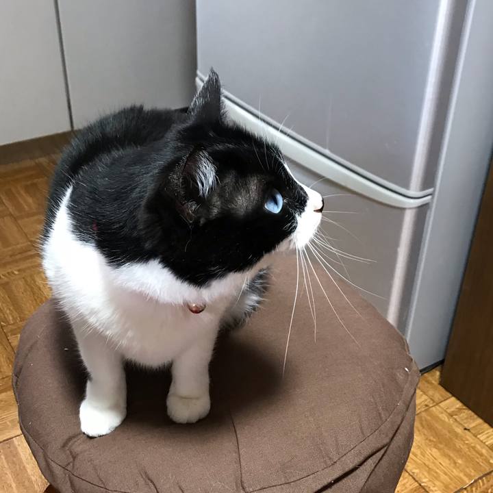 8ab3612f 409b 4293 80e3 96000c1b48ea 1553419834254