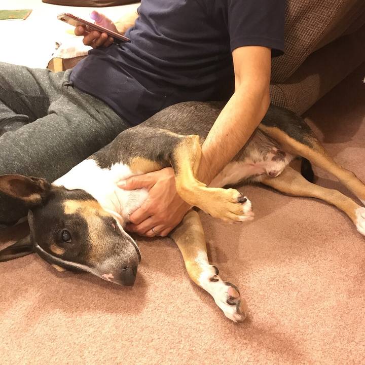 8ab36cf5 78ad 4599 a1f9 a398a45a814a 1508761024152