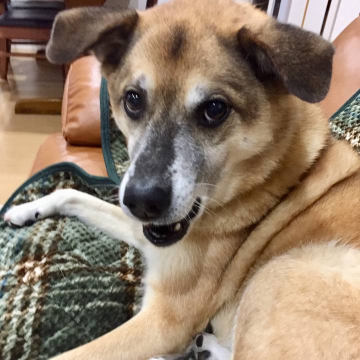 8ab38abc 2568 4b42 a820 30b6815c2da7 1575637562040