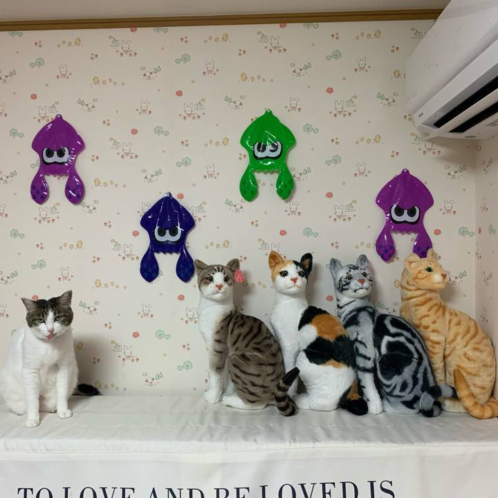 8ab38df4 1146 42c1 9aba 3890536d11ef 1595243770494