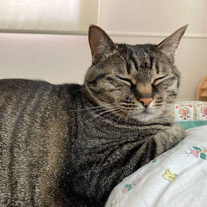 8ab3d5df a3f0 48b3 819b e936ab8e19af 1652312493008