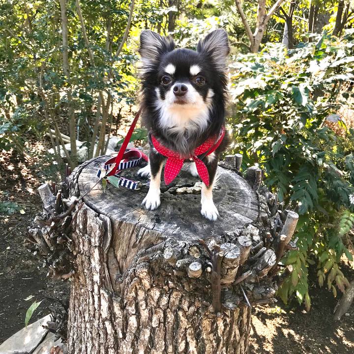 8ab3f795 542c 4d51 9a53 884d1562c959 1580874163691