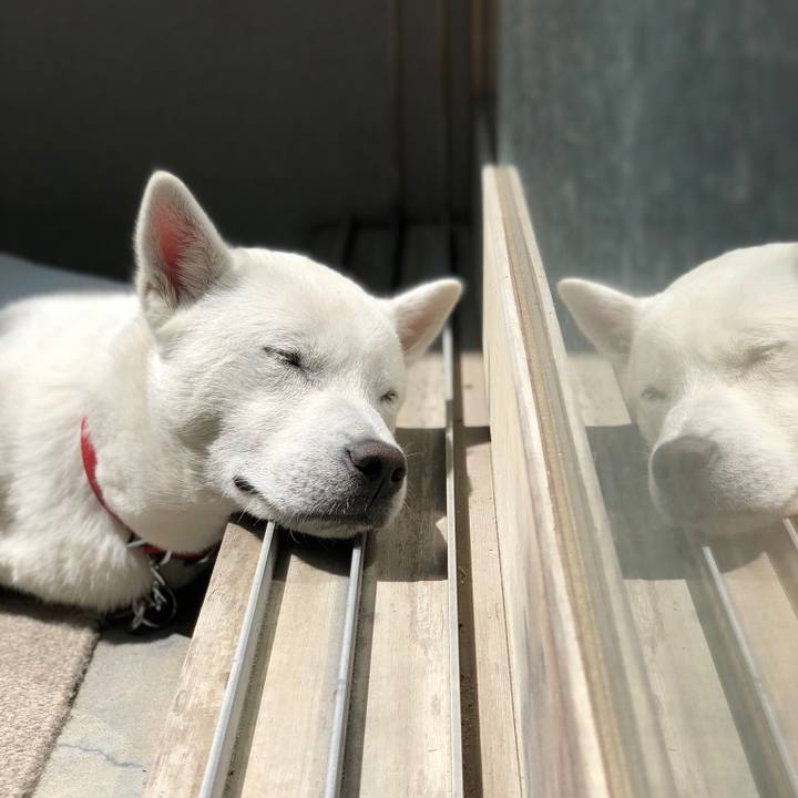 8ab40fe0 ad52 41d8 ae28 5b6f7a2afea6 1523157196228